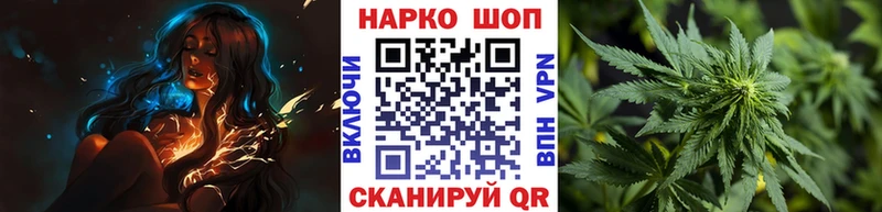 ГАШ Николаевск