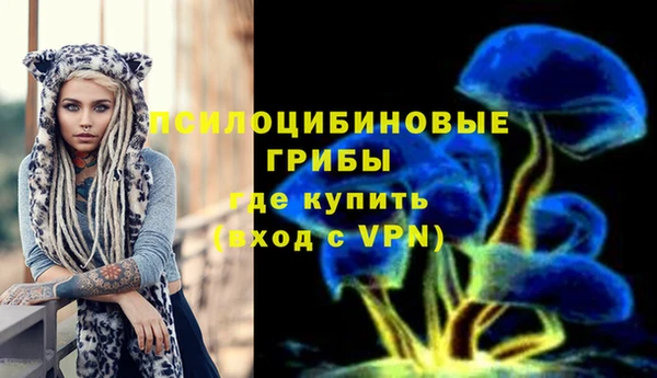 ПСИЛОЦИБИНОВЫЕ ГРИБЫ Нефтегорск
