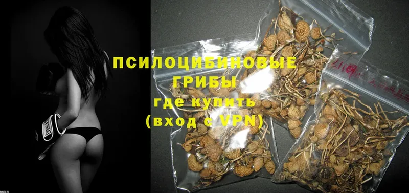 OMG зеркало  наркошоп  Николаевск  Псилоцибиновые грибы MAGIC MUSHROOMS 